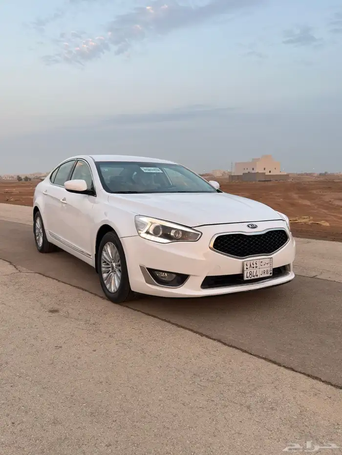 كادينزا 2015 2