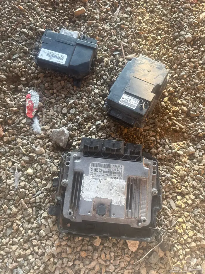 كبيوتر فرد 0