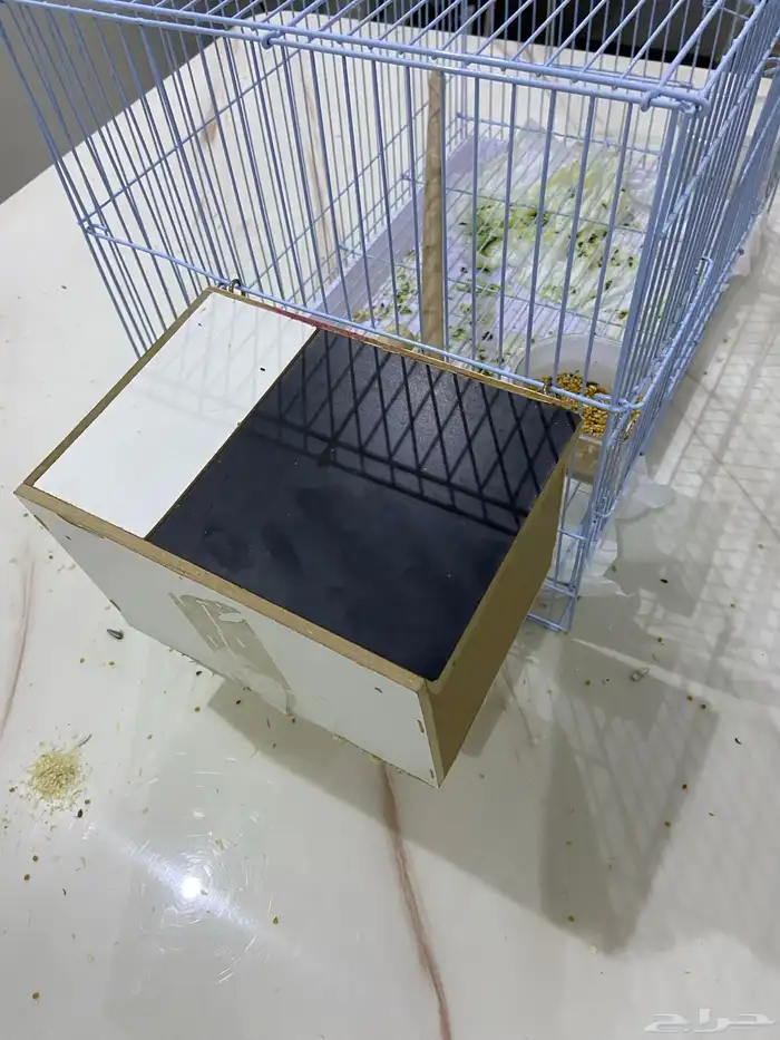 طيور روز جوز متالفين 5