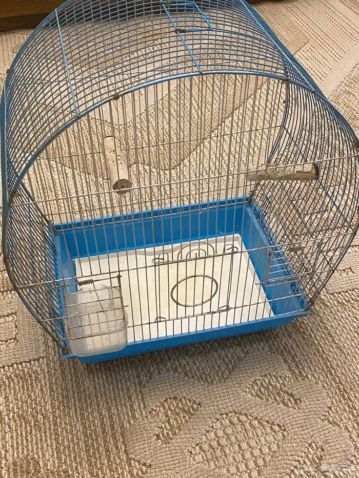 اقفاص عددهم ثلاثه البيع الحبه او كلهم 200 ريال 2