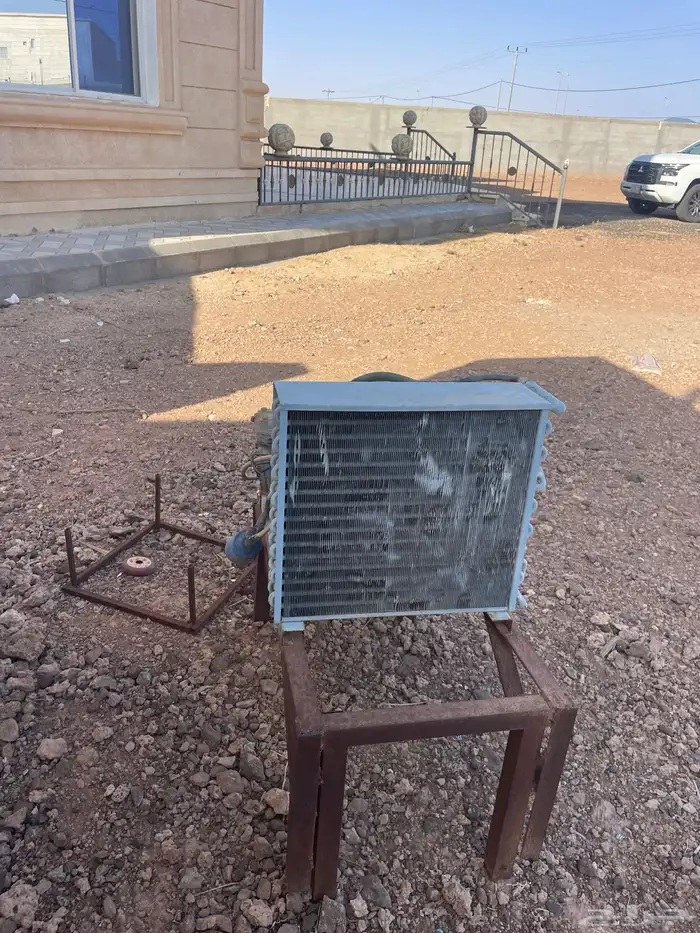 الطايف ام الدوم 2