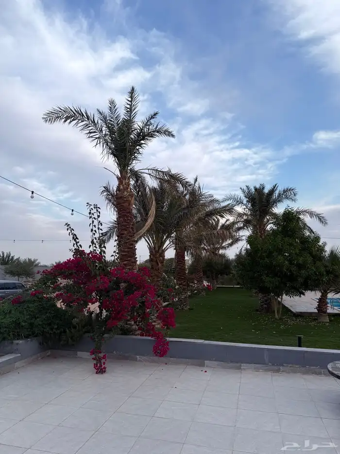 منتجع للايجار   رياض الخبراء 17