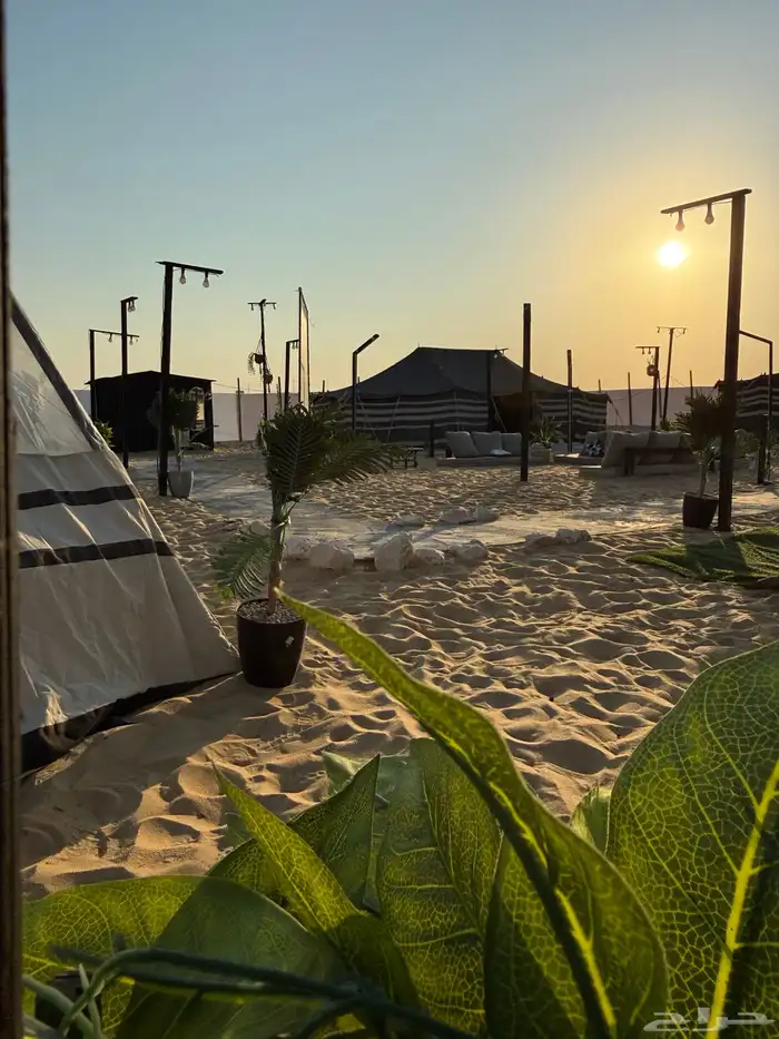 مخيم ارام للإيجار اليومي VIP ومرتب وتصميم روعه 1