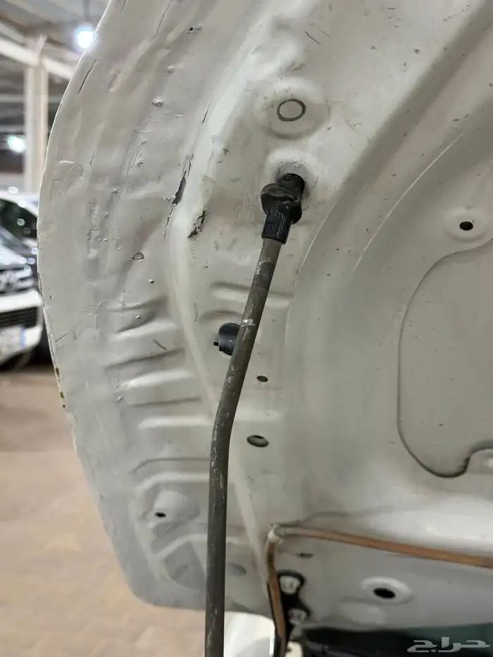 كورولا 2019 13