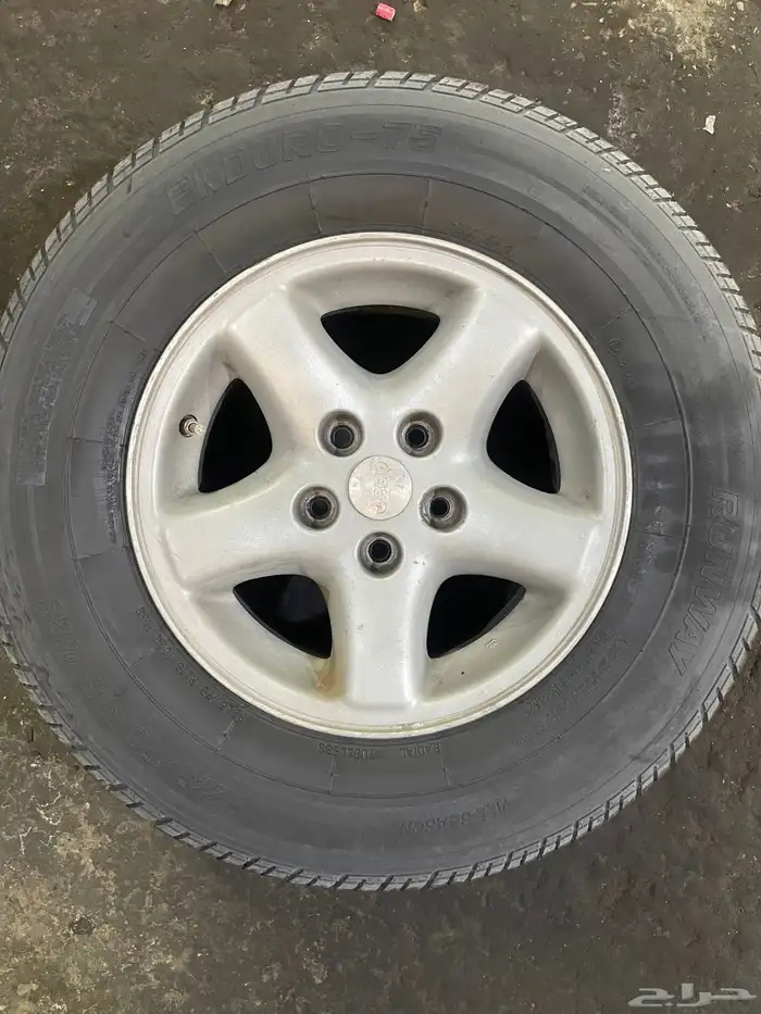 جنوط شروكي نجمة 1