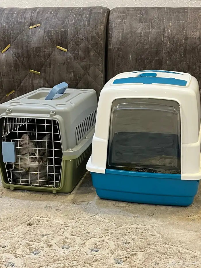 رقم التواصل 1