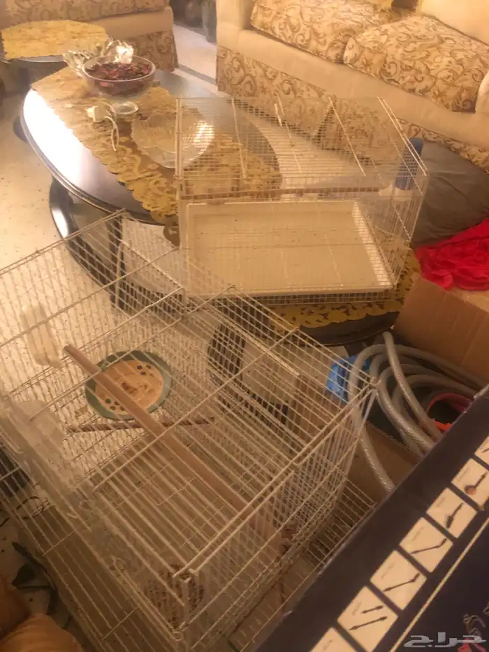 قفص عصافير اقفاص عصفور 0