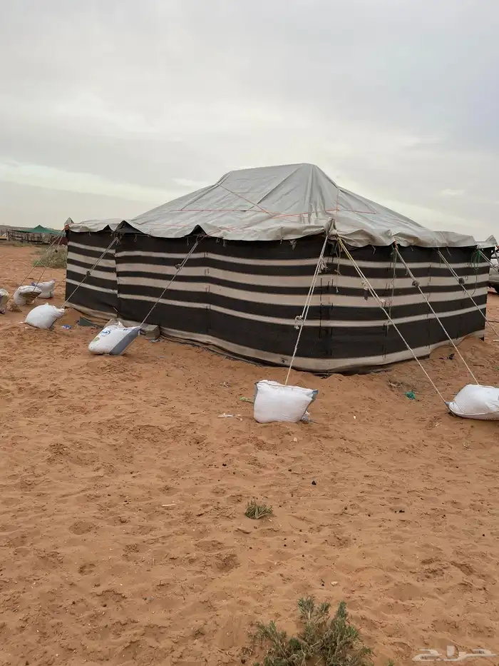 بيت شعر للبيع 1