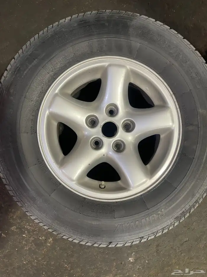 جنوط شروكي نجمة 2