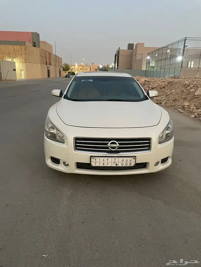 مكسيما سكر في مويه للبيع 4