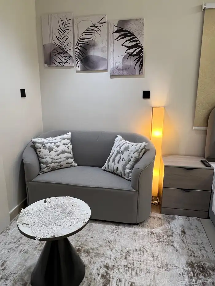 شقق اجار مفروش جديد ونضيف VIP 2