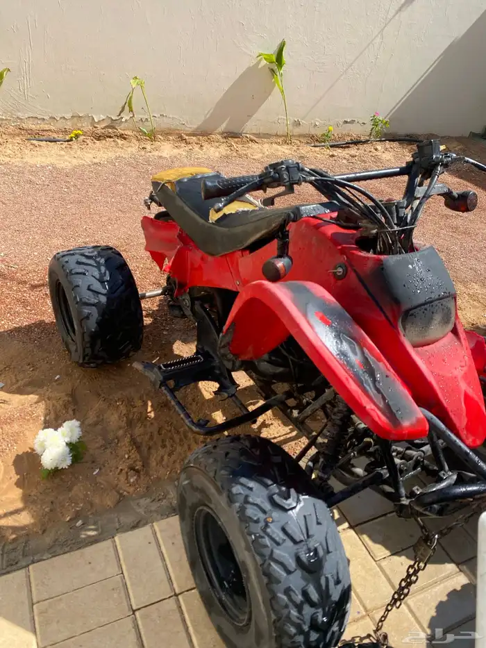 دباب سويدي نيثال 1