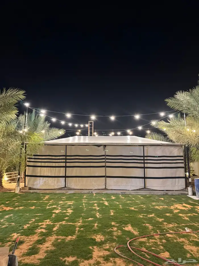 بيت شعر المطور بيت شعر ملكي 7