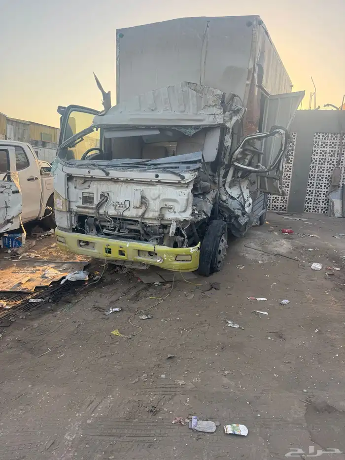 دينا ايسوزو 2020 مصدوم للبيع 2