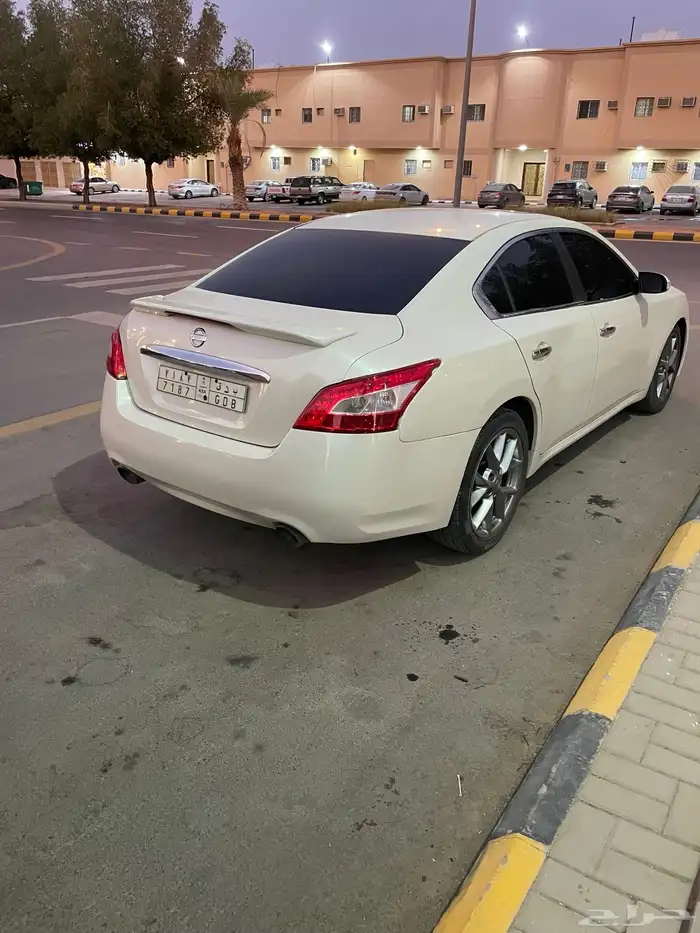 مكسيما سكر في مويه للبيع 1