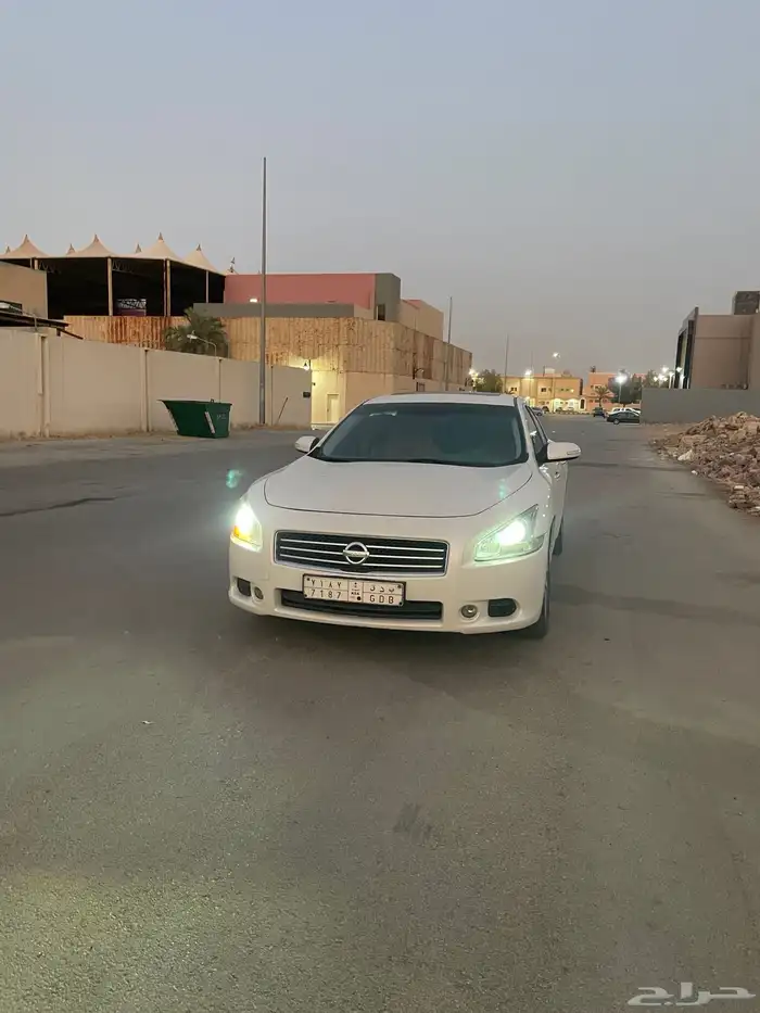 مكسيما سكر في مويه للبيع 9