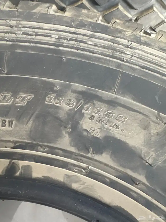 كفر شاص سلق جديده صيني 1