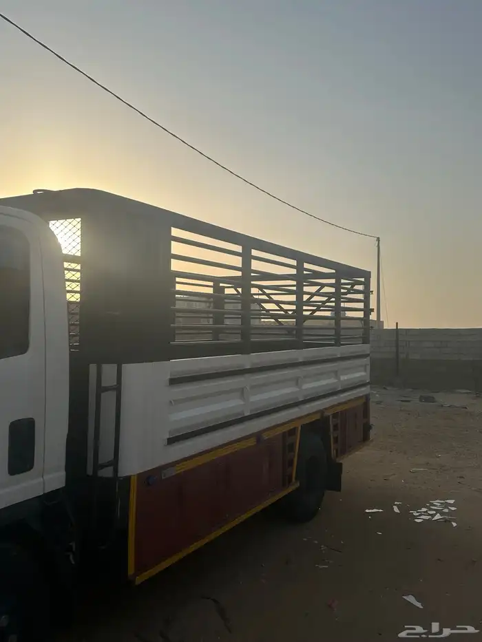 صندوق دينا ايسوزو 2016 4