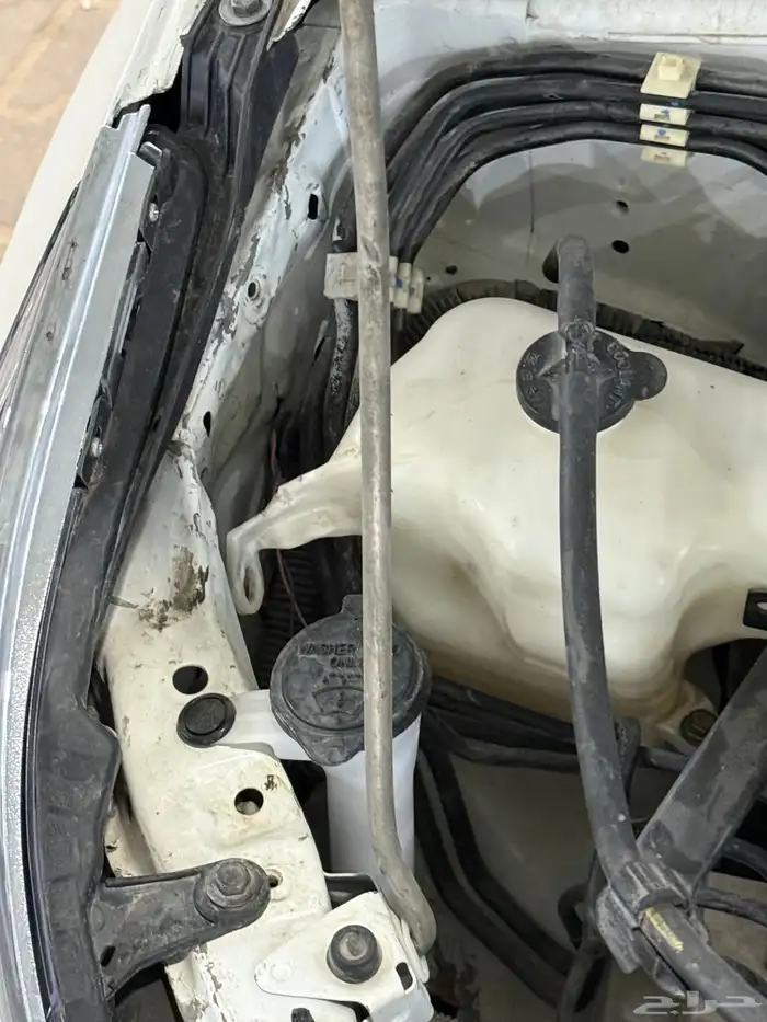 كورولا 2019 14