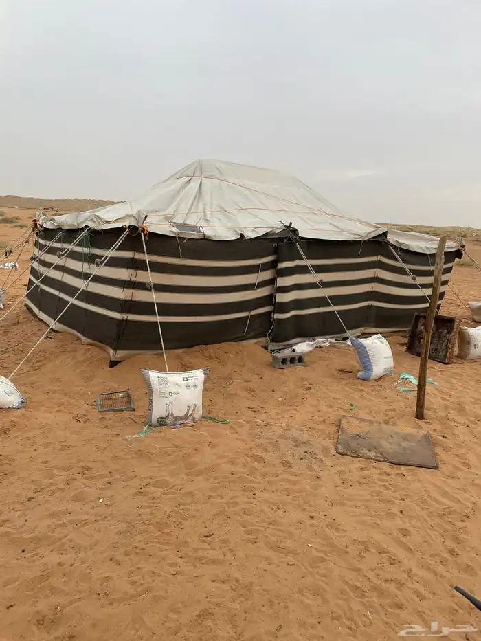 بيت شعر للبيع 0