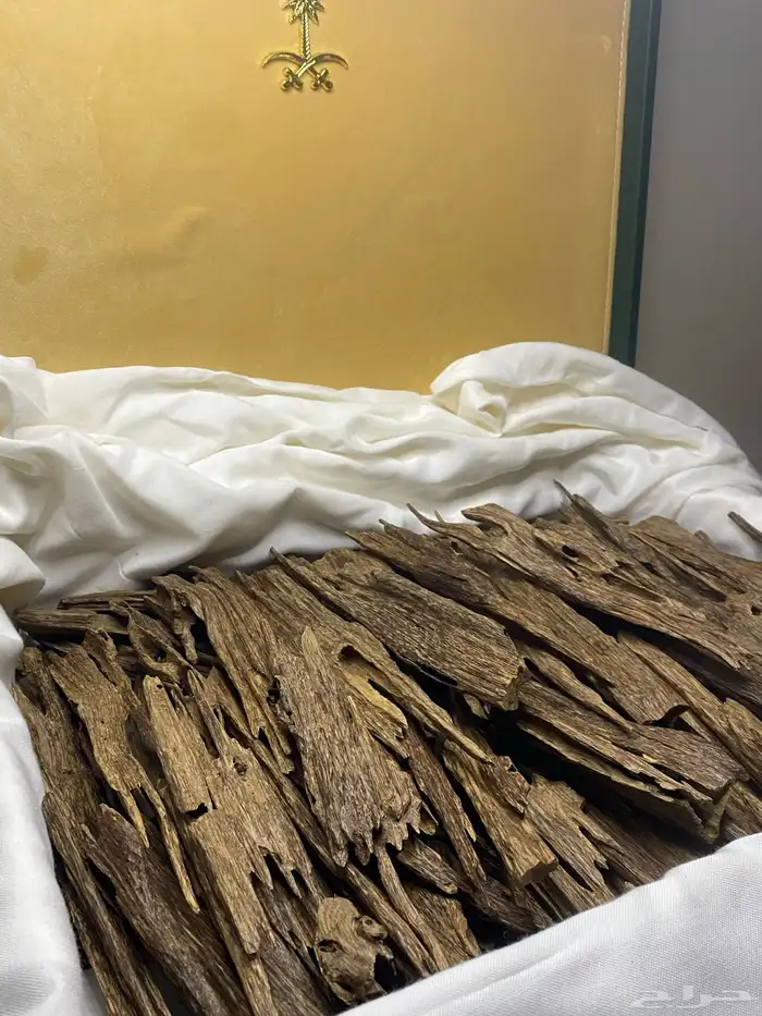 للبيع عود هندي 1