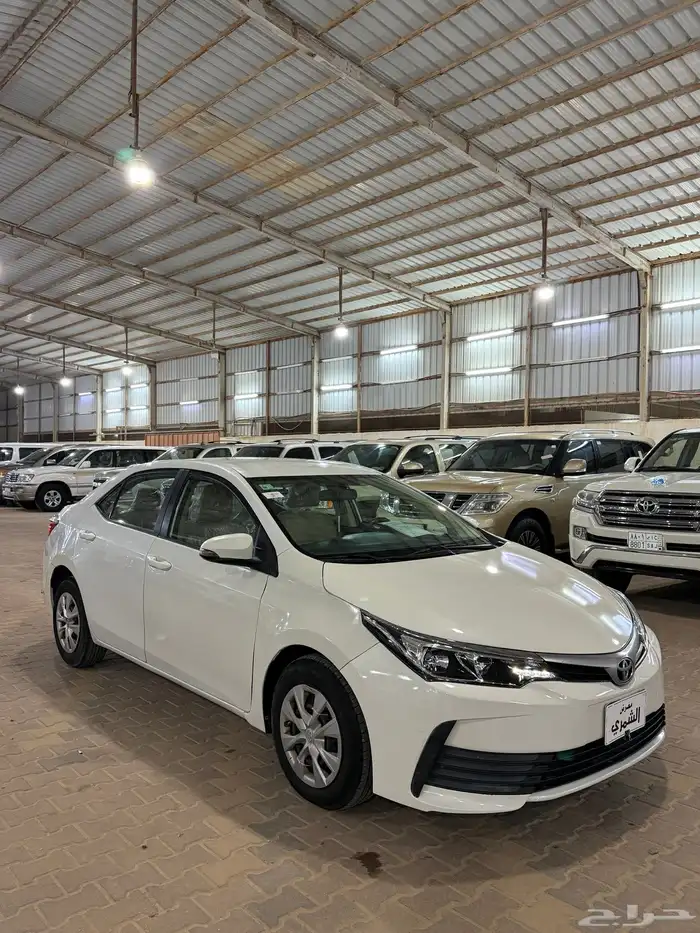 كورولا 2019 4