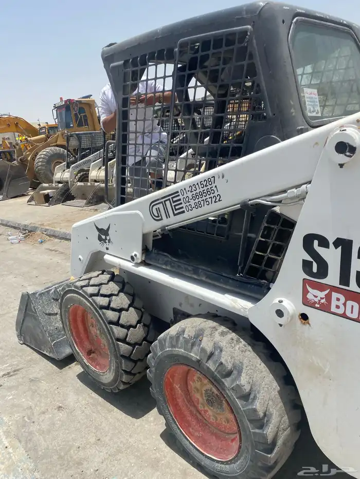 بوبكات بوبكاتات حواس شيول جراف صغير 3