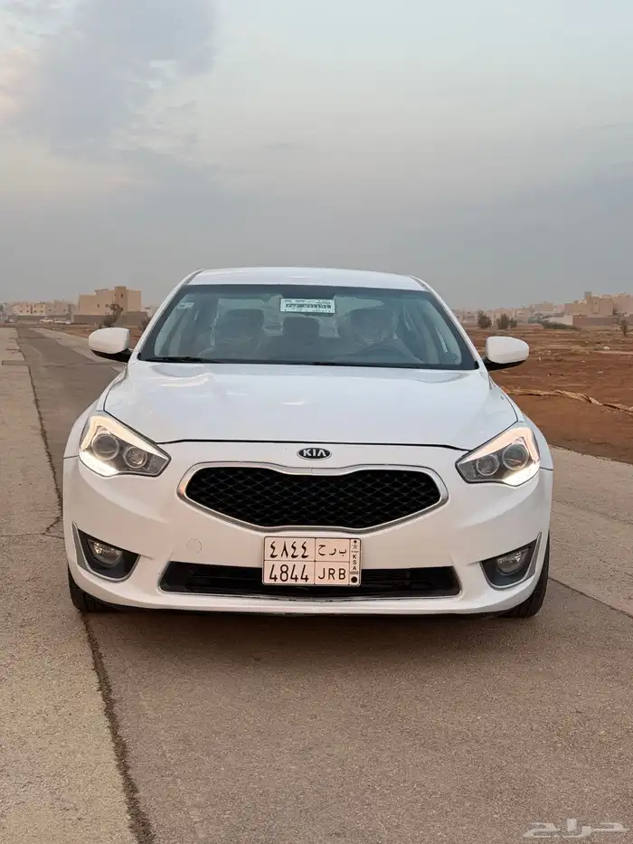 كادينزا 2015 1