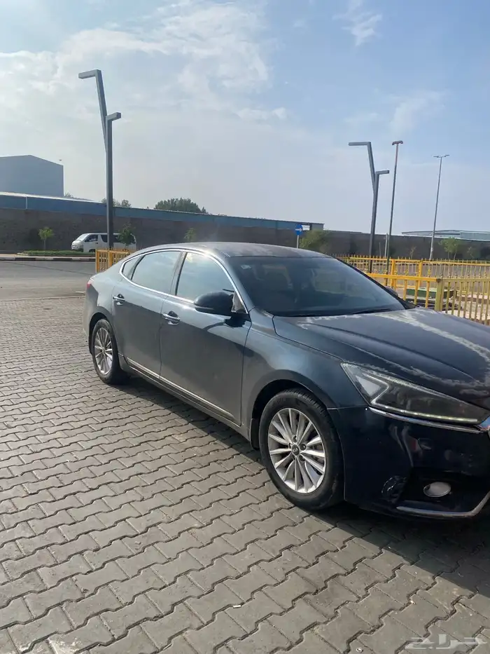 كادنزا 2018وكالة 14