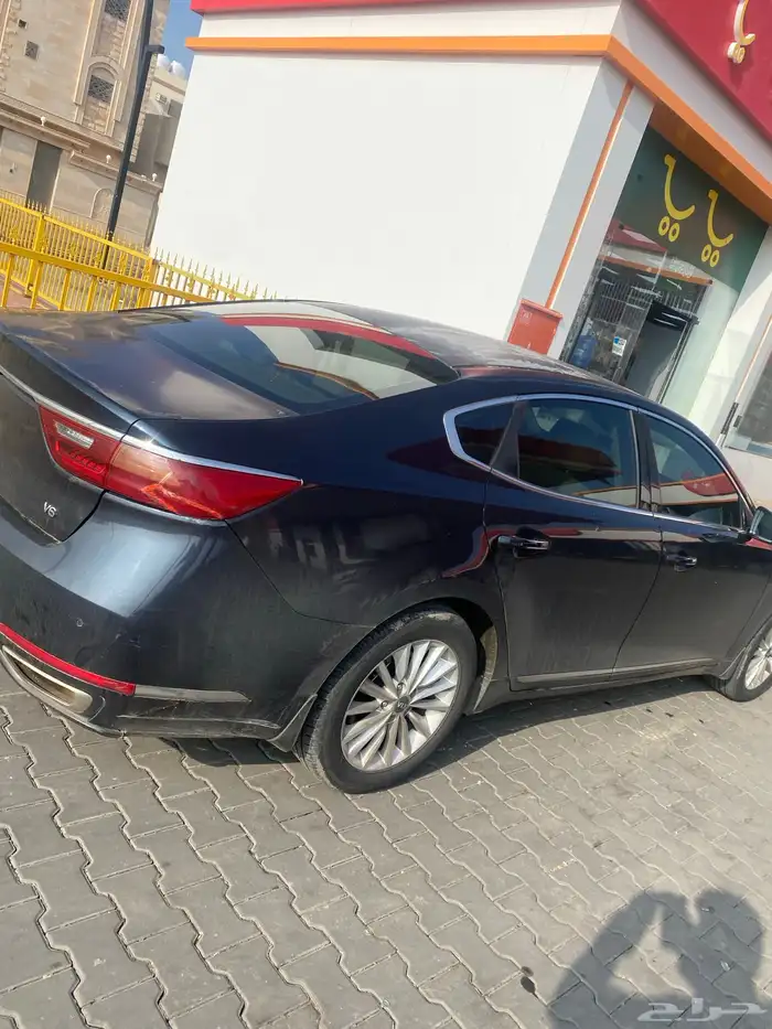 كادنزا 2018وكالة 8