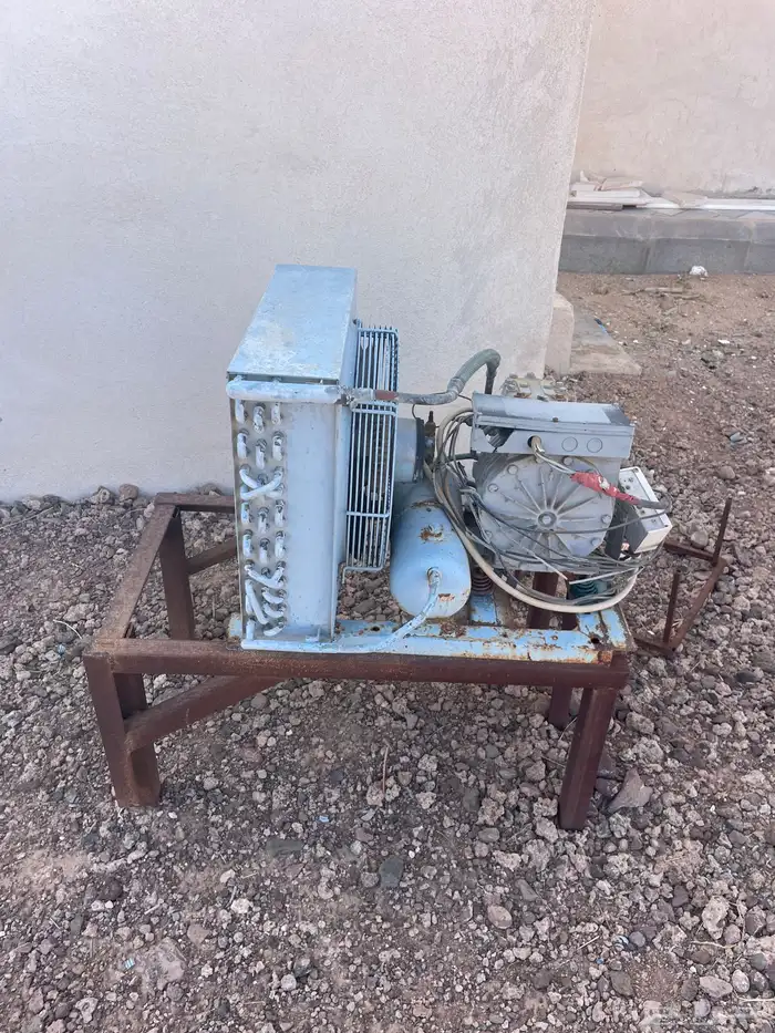 الطايف ام الدوم 1