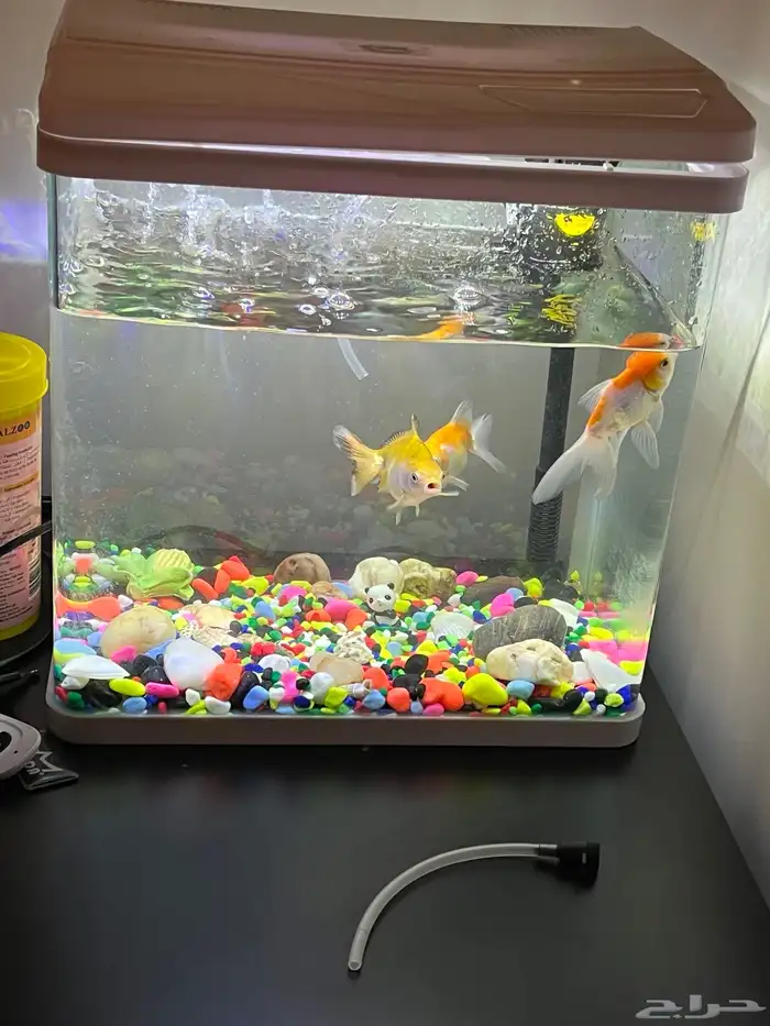 حوض سمك للبيع 0