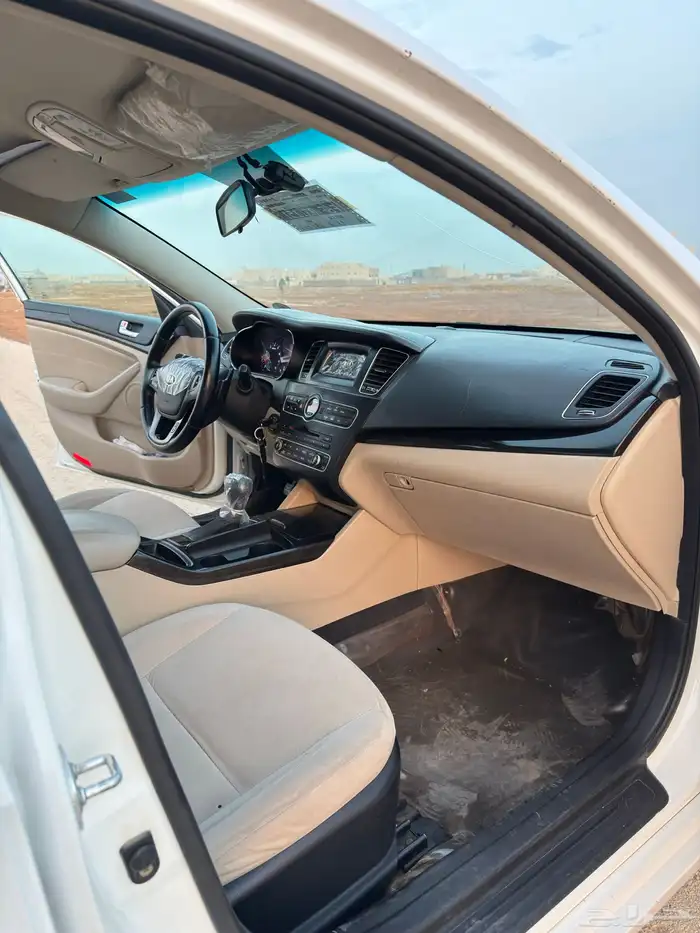 كادينزا 2015 12