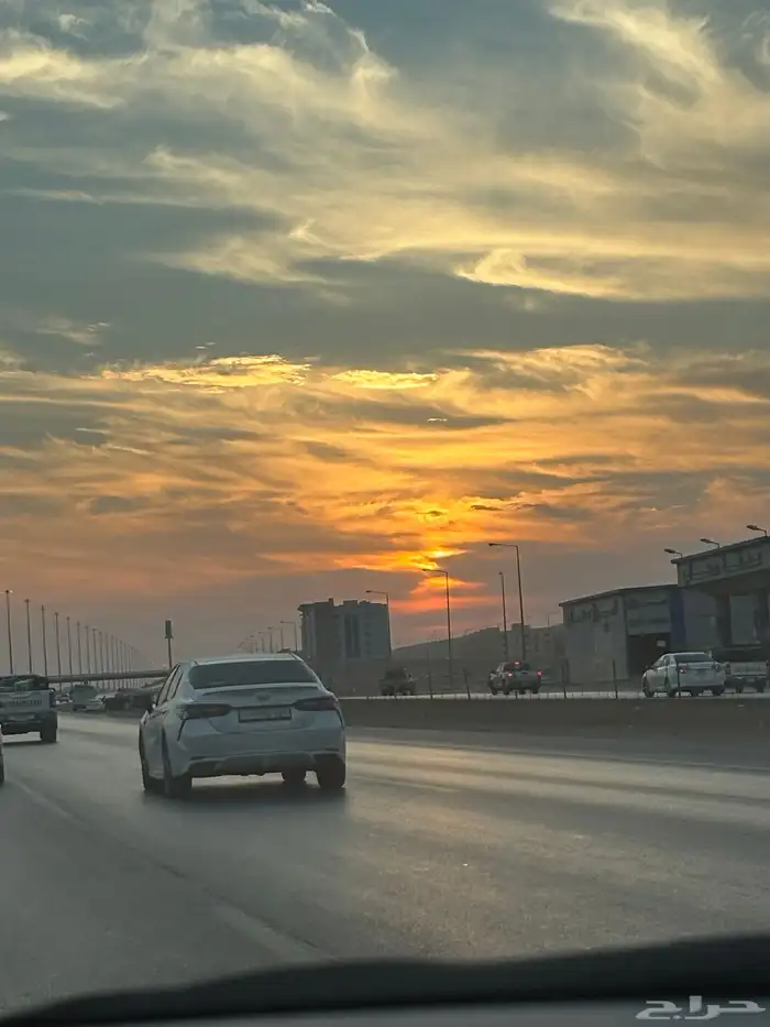 مطلوب كلب لحراسة المواشي نظيف معقم للتبني 0