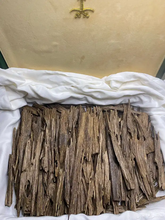 للبيع عود هندي 0