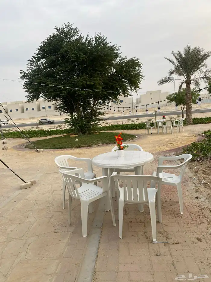 للبيع فود ترك جاهز وشغال ودخله طيب 0