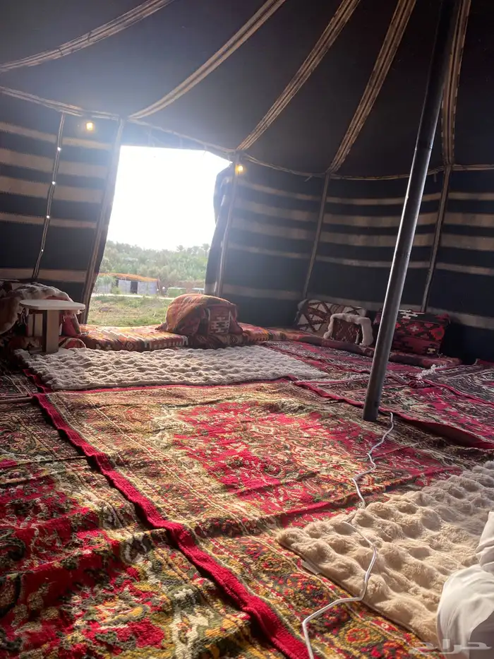 مخيم للايجاروسترحه 10