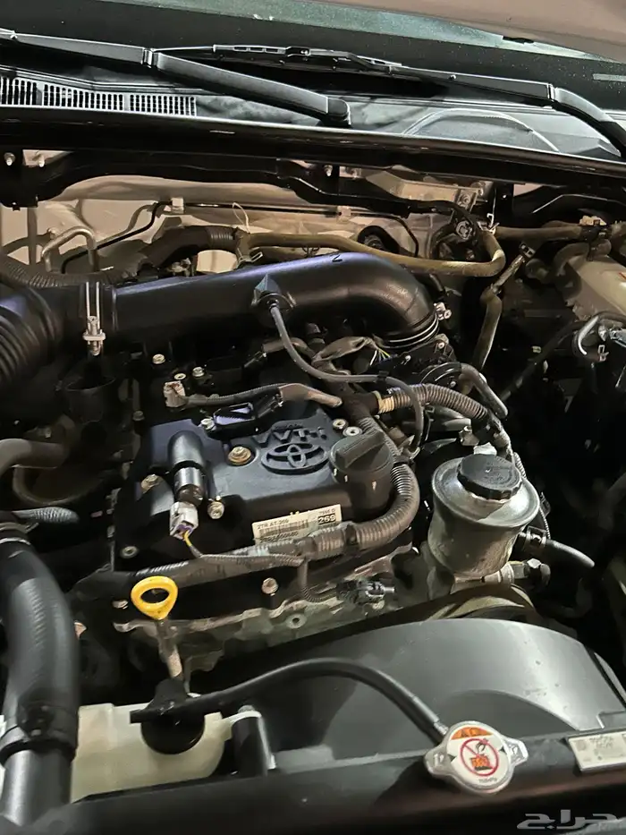 فور شنر 2019 دبل 18