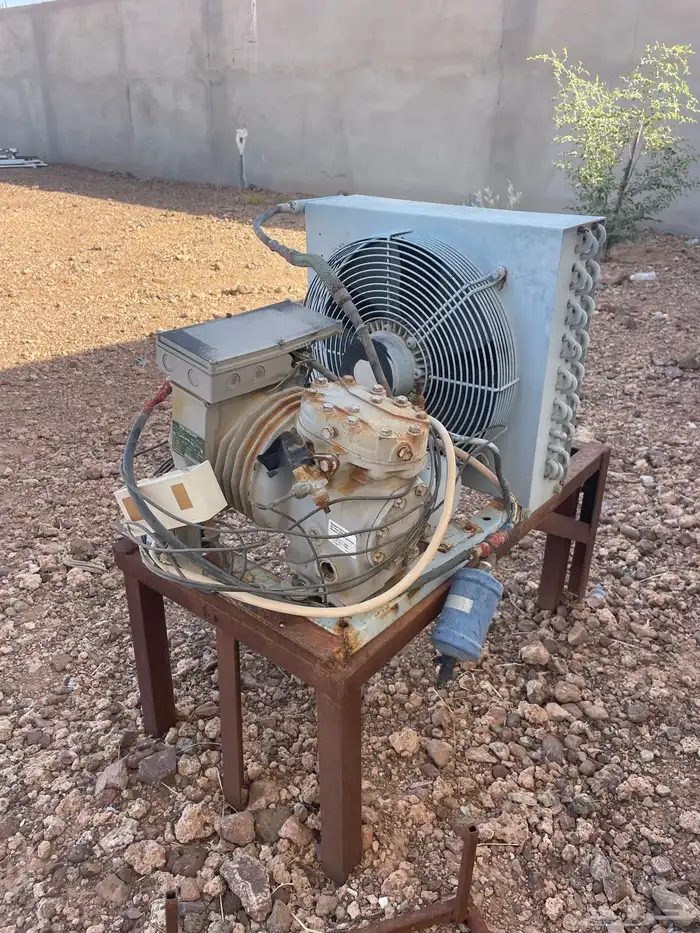 الطايف ام الدوم 3