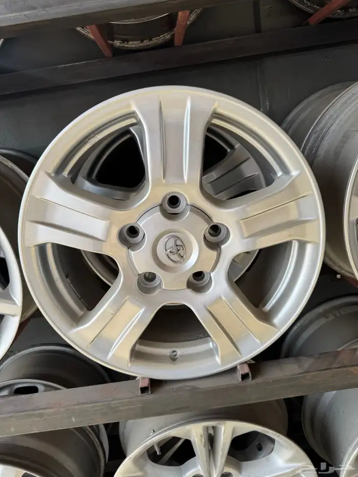 جنوط سكويا وكاله 2016 0