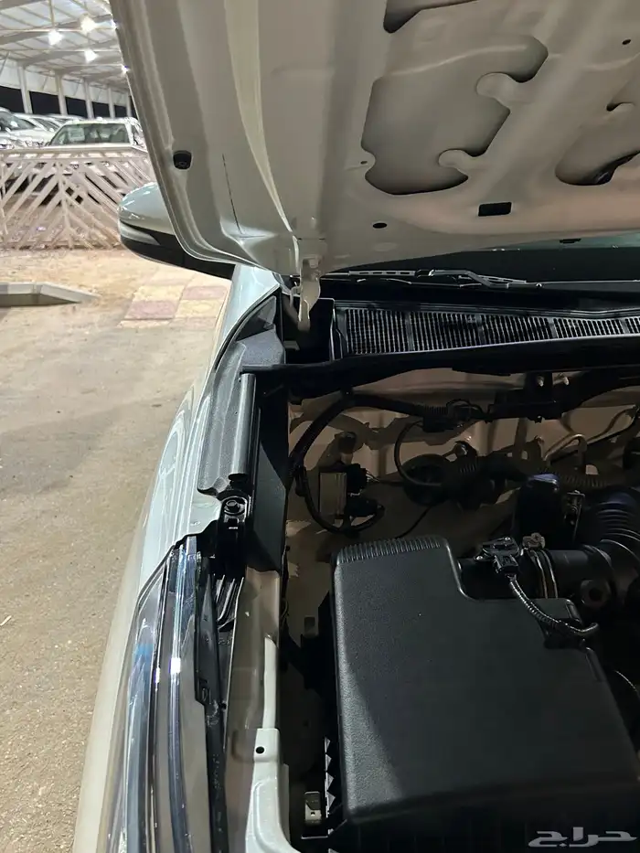 فور شنر 2019 دبل 13