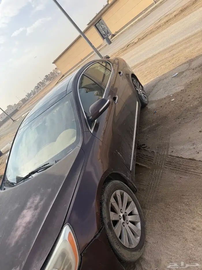 كادينزا 2012 2