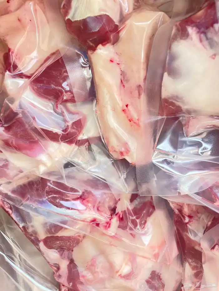 ذبائح الراعي حري نعيمي سواكن ذبائح تابي تمارا 21