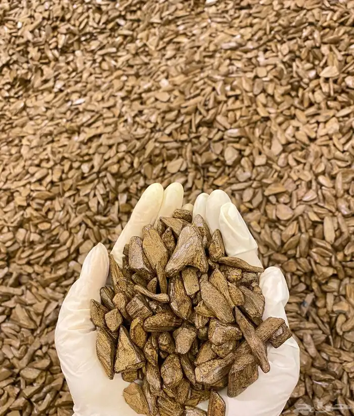 علمتنا المتميزة في الاعواد المحسنه البيور 0