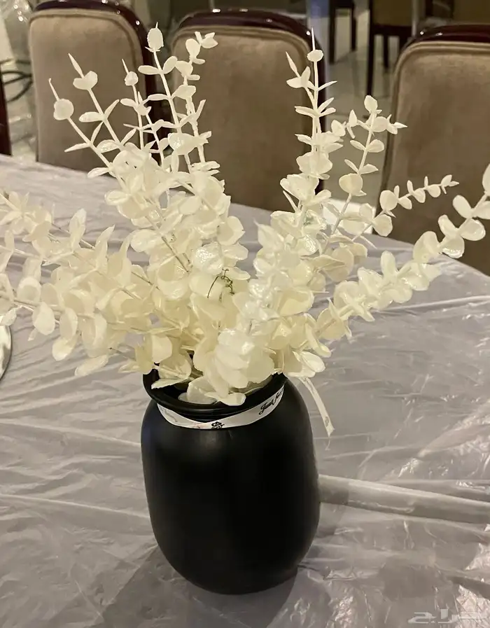 مجموعه من الشجيرات الكبار الوحده بميه والصغار الوحد ب50 1