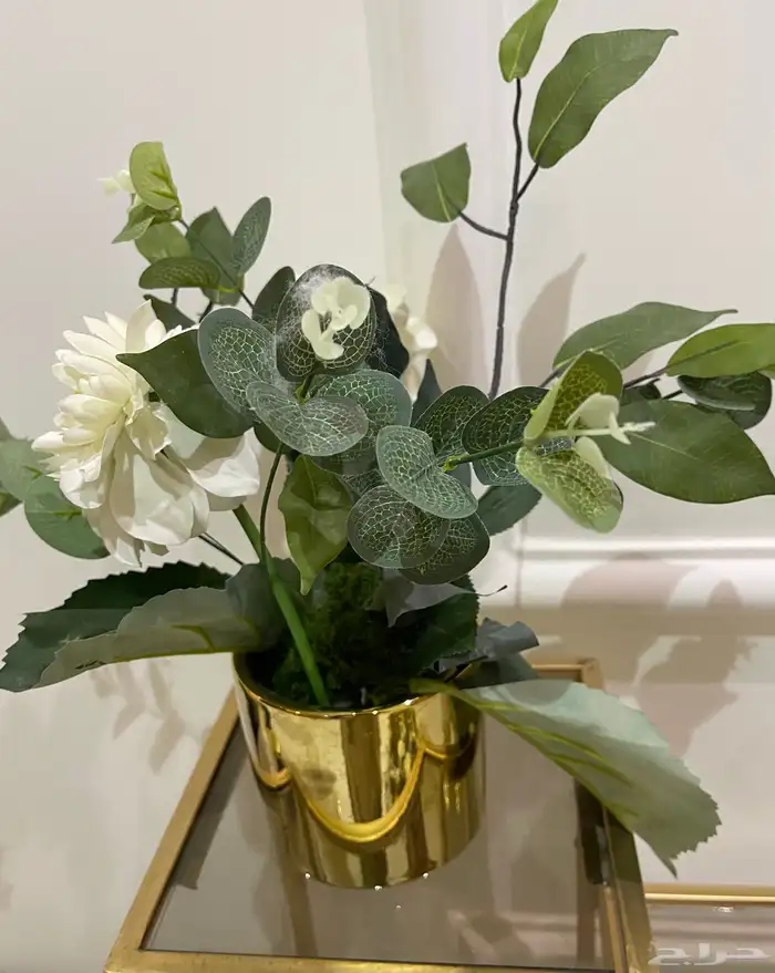 مجموعه من الشجيرات الكبار الوحده بميه والصغار الوحد ب50 10