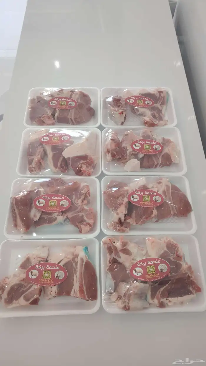 محمد جزار من مصر مقيم بالسعودية ببحث عن أي عمل في اي ملحمه 5