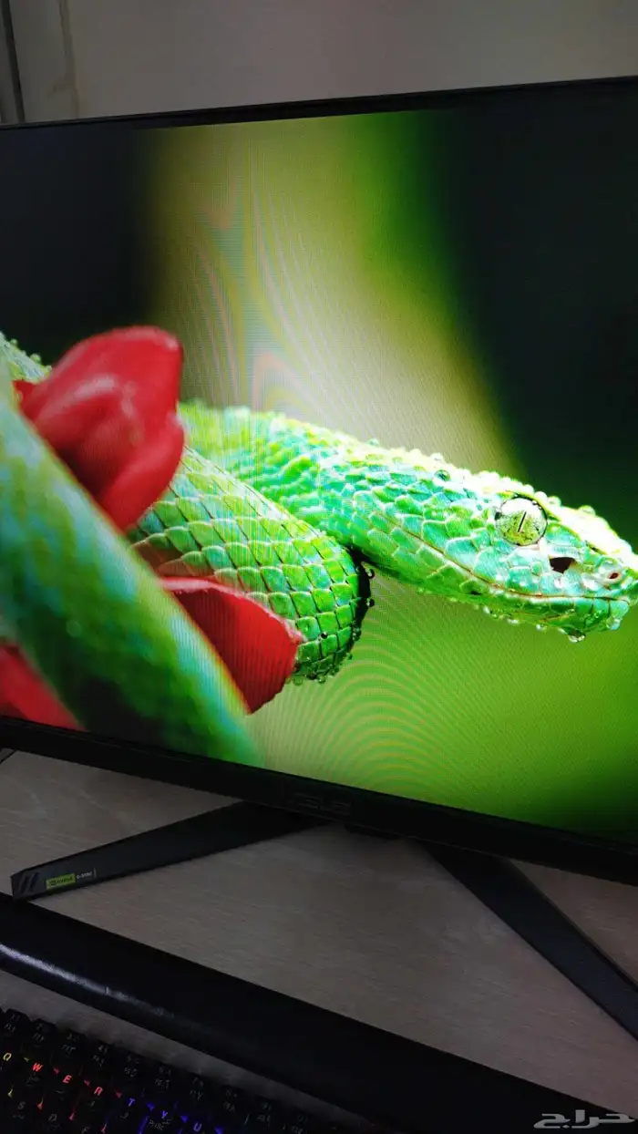 شاشة قيمينق asus 240hz 3