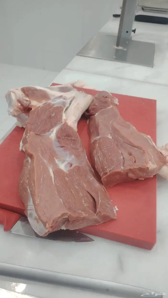 محمد جزار من مصر مقيم بالسعودية ببحث عن أي عمل في اي ملحمه 4