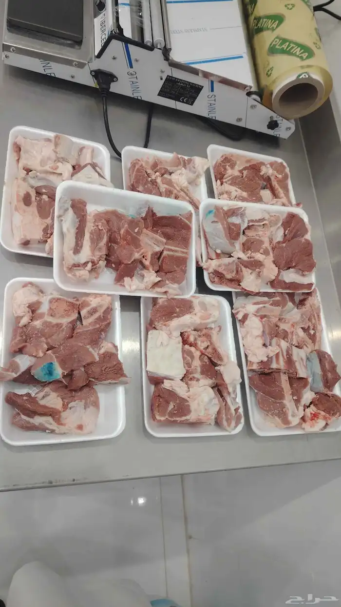 محمد جزار من مصر مقيم بالسعودية ببحث عن أي عمل في اي ملحمه 6